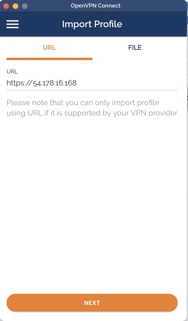 OpenVPN connect client URL