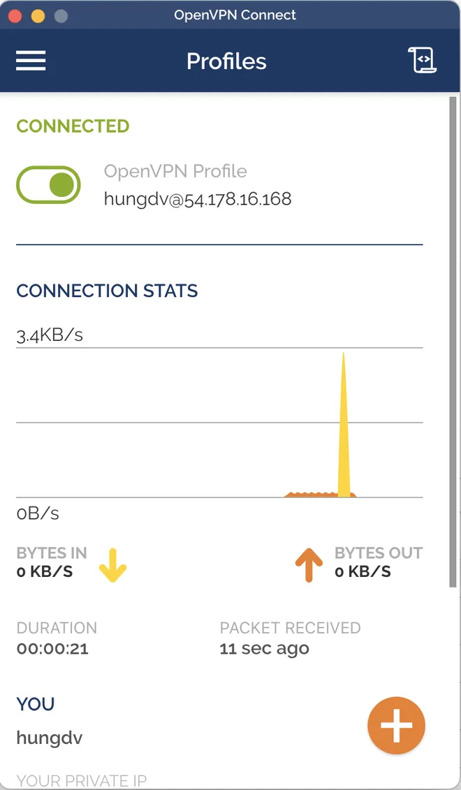 connect to OpenVPN server