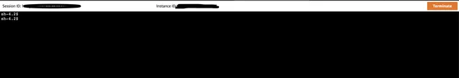 terminal in ssm