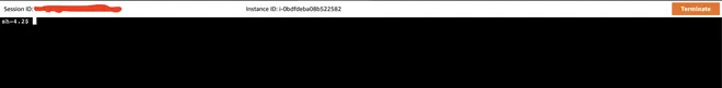 ssm vào private instance