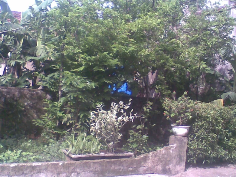 Bài mở đầu