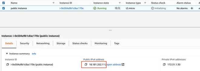 public SSM instance