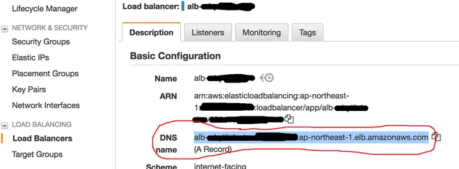 DNS name trong load balancer