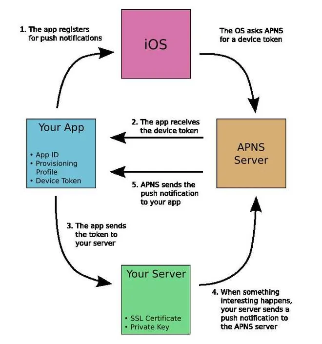 APNS hoạt động thế nào